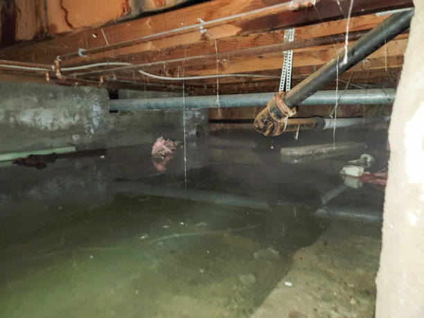 Best Fire Damage Restoration  in Galena, IL
