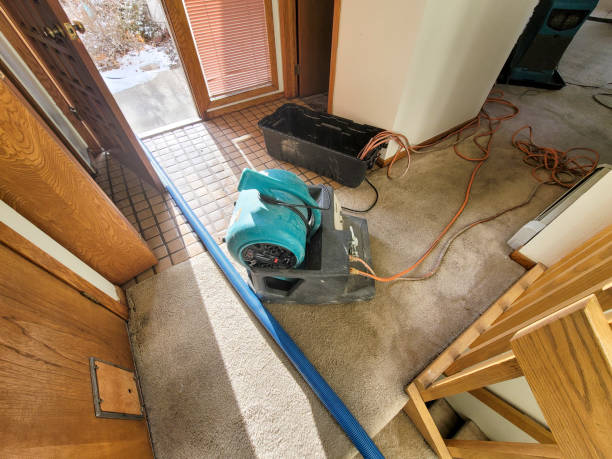 Best Professional water damage repair  in Galena, IL