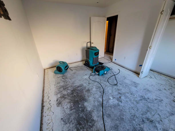 Carpet water damage restoration in IL