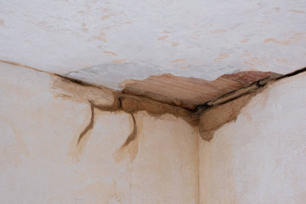 Best Basement water damage restoration  in Galena, IL