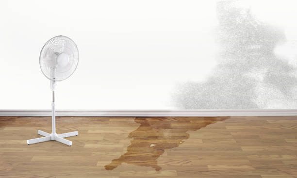 Best Residential water damage restoration  in Galena, IL