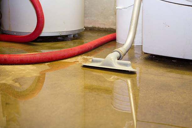 Best 24/7 water damage repair  in Galena, IL